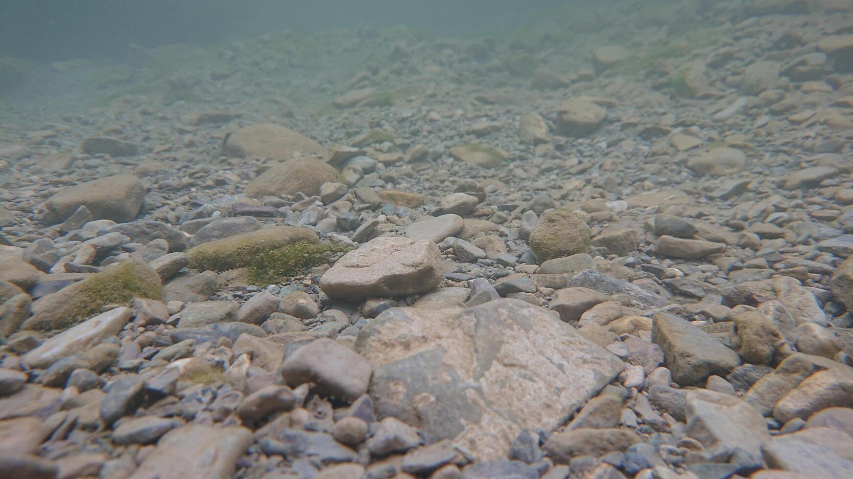 Underwater Rocky Bed in Mountains photo