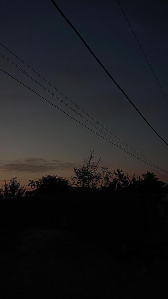 Silhouetted Power Lines and Trees Against a Tranquil Early Morning Sunrise Sky photo