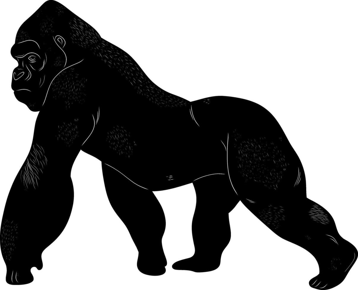 gorilla black silhouette on white background vector