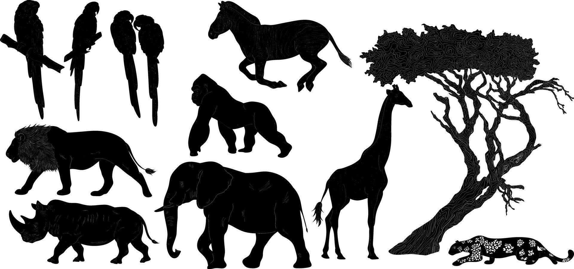 a variety of silhouettes of animals and birds vector