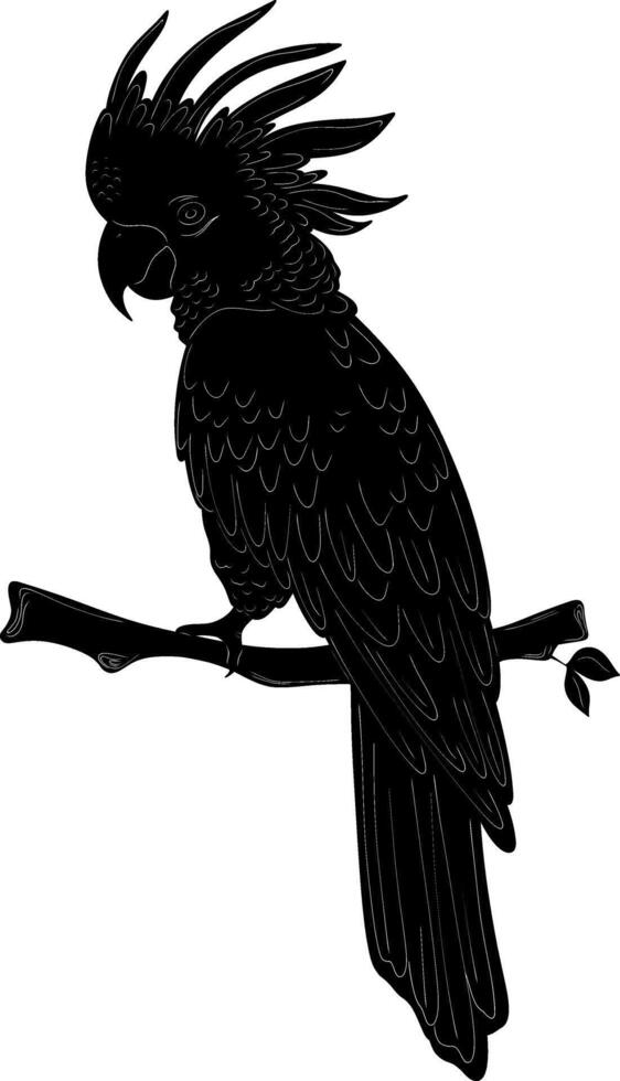 a black and white illustration of a parrot sitting on a branch vector