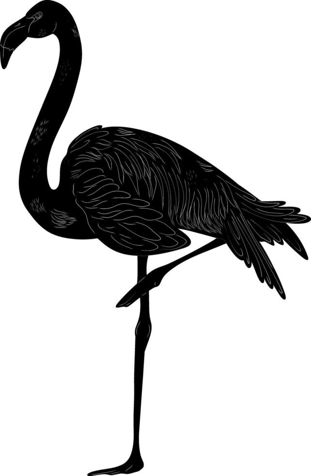 a black and white drawing of a flamingo vector