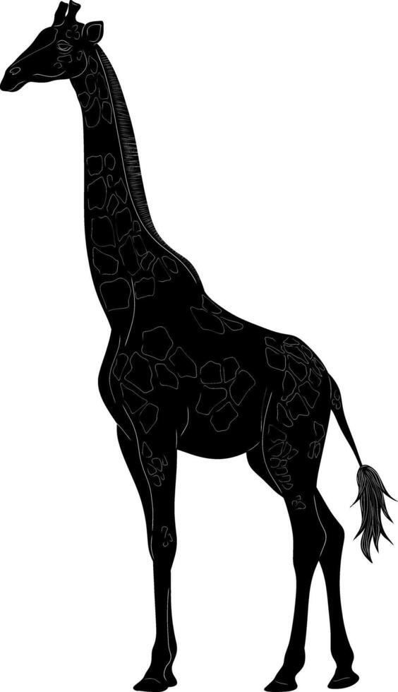a black and white illustration of a giraffe vector