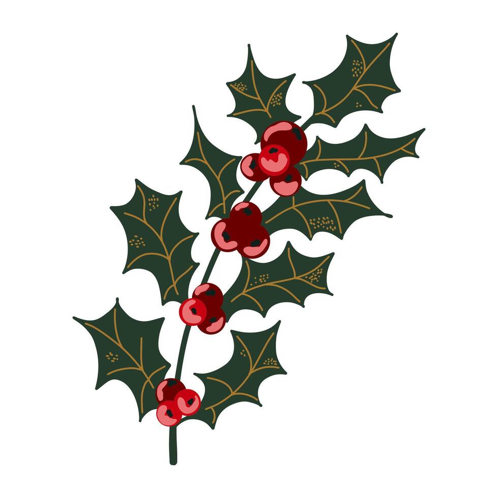 christmas holly branch with red berries illustration vector