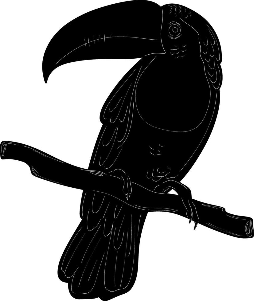 a black and white illustration of a toucan sitting on a branch vector