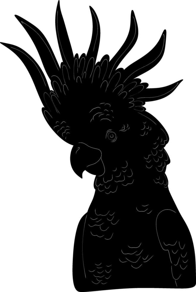 a black and white illustration of a cockatoo vector