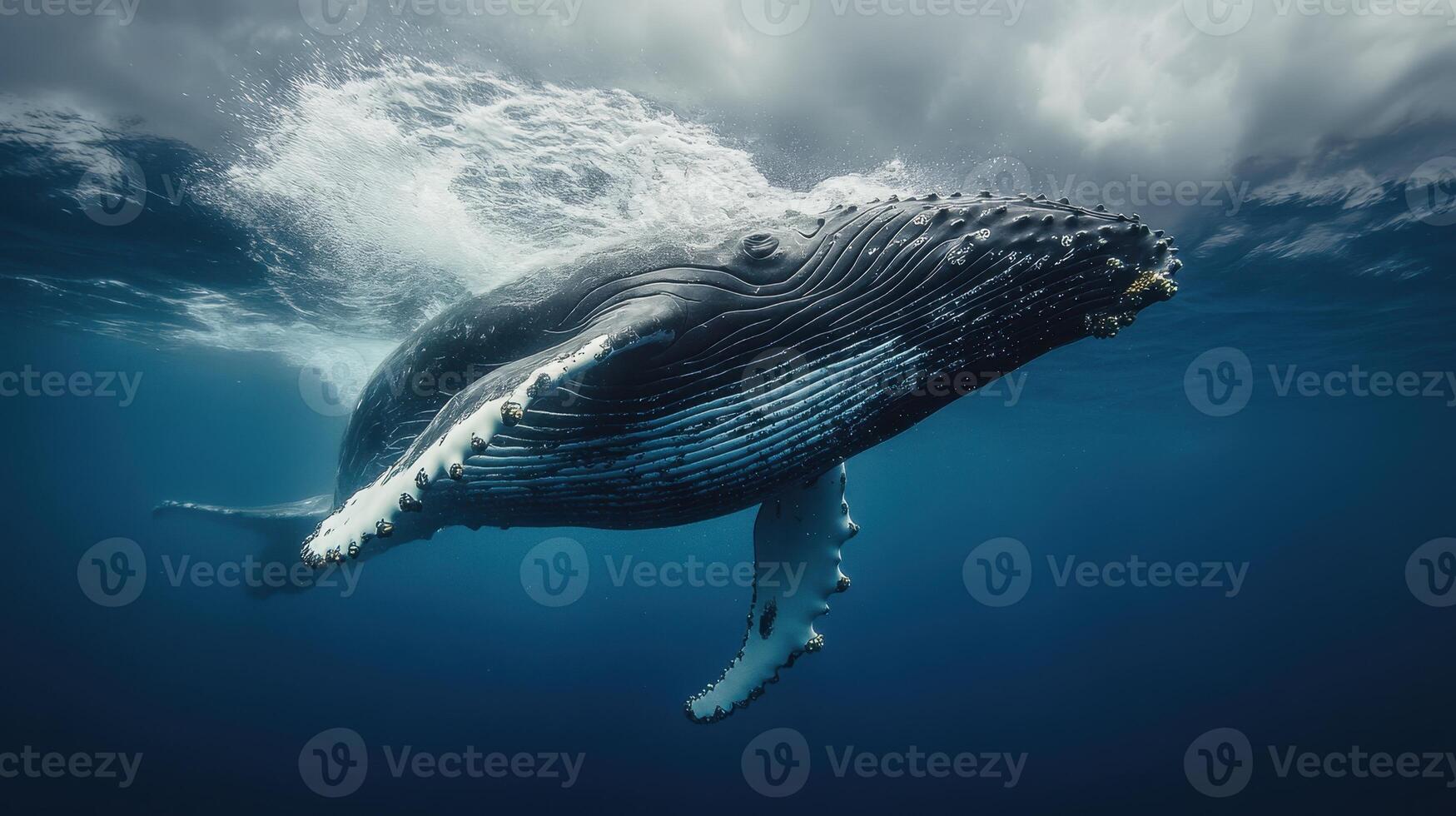 A humpback whale swims gracefully beneath the ocean surface in clear blue waters with sunlight filtering through clouds above photo