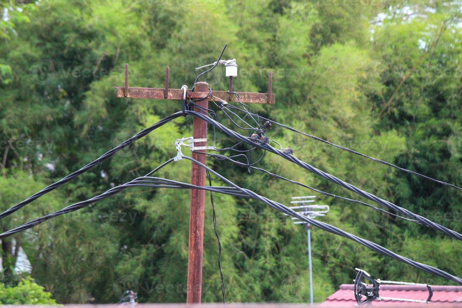 Electrical poles and cables with trees in the background photo