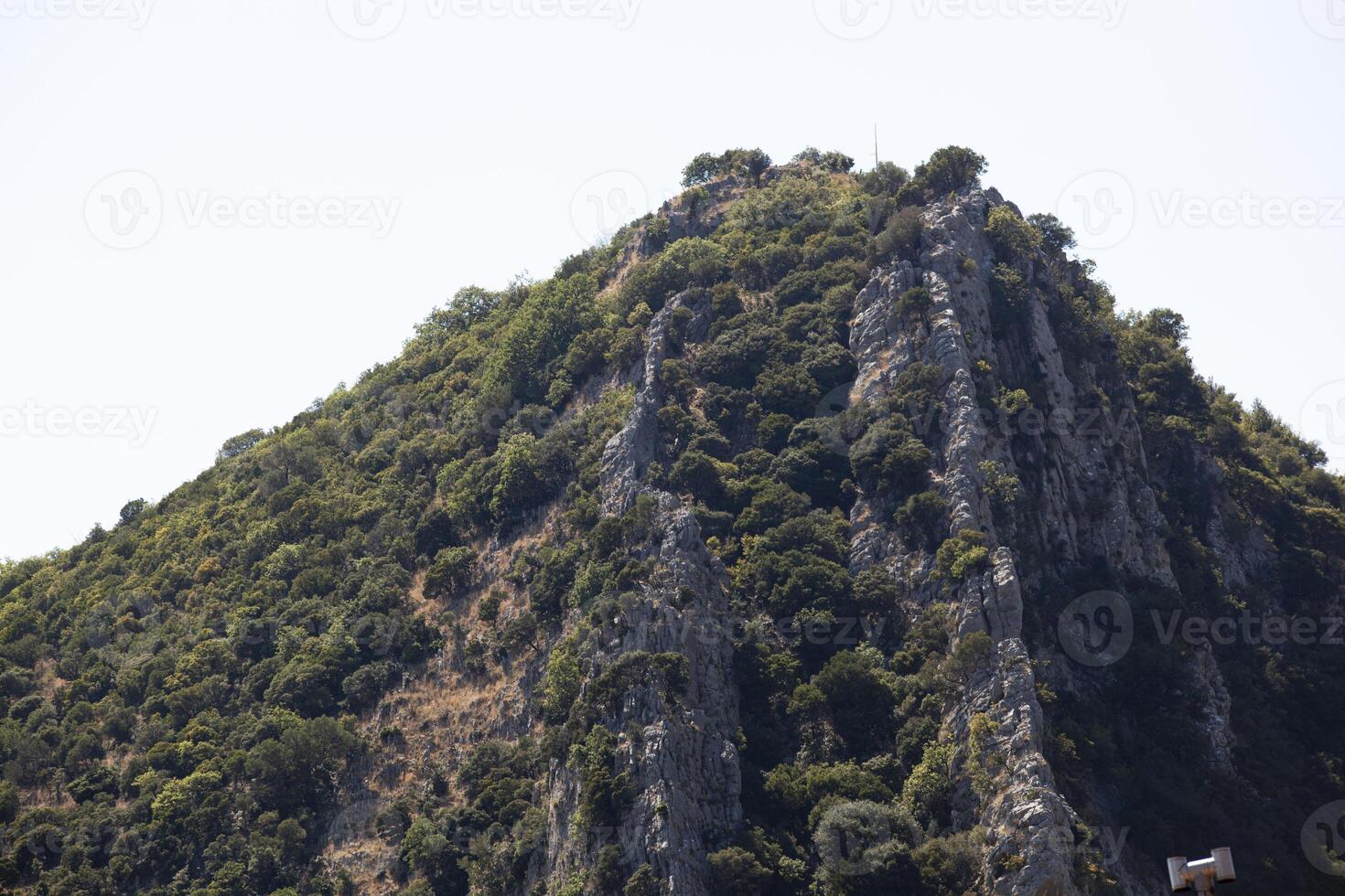 Huge mountain with trees against the sky. Horizontal photo