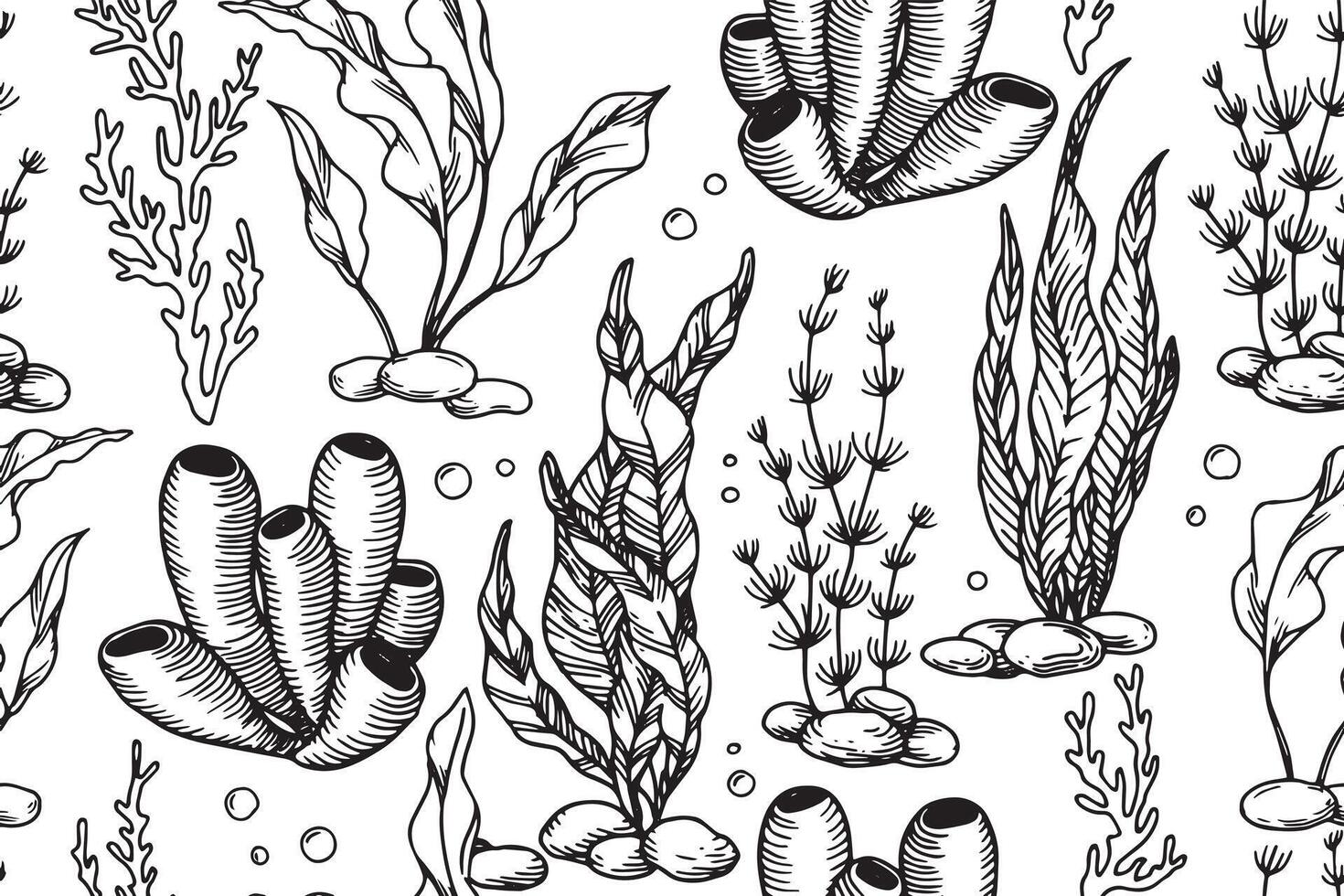 seaweed seamless pattern, illustration in sketch style. vintage vector