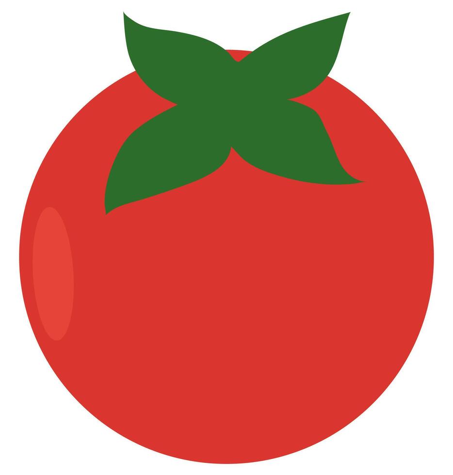 Flat illustration of red tomato isolated on white background. vector