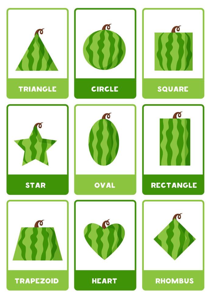 Cartoon watermelons in geometrical shapes. 2d shapes with names. vector