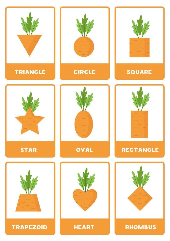 Carrots in geometrical shapes. 2d shapes with names. vector
