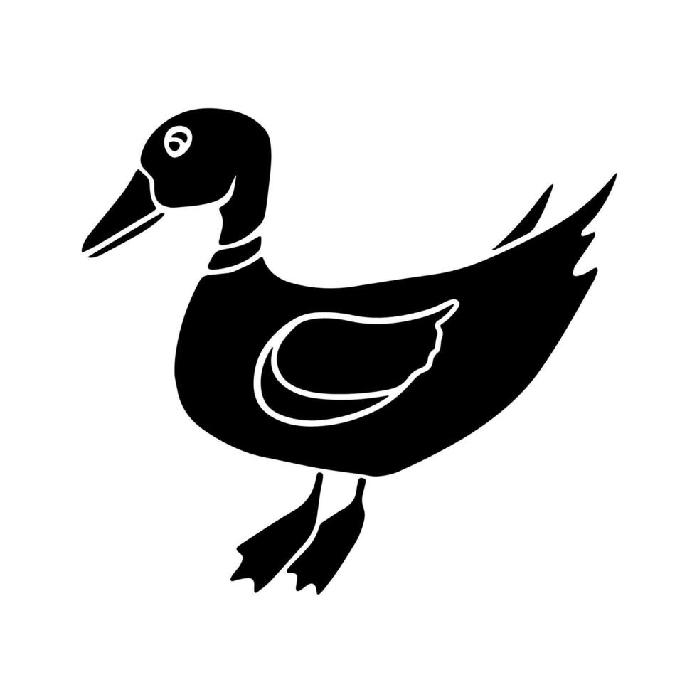 Illustration of black and white duck. Poultry. vector