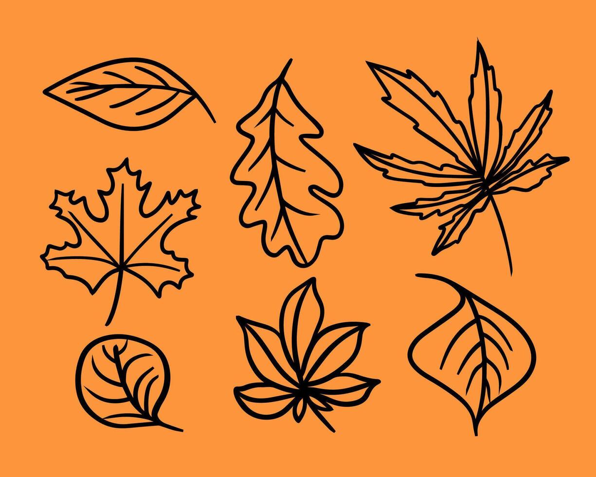 Illustration of autumn leaves set. Contour drawing of leaves. vector