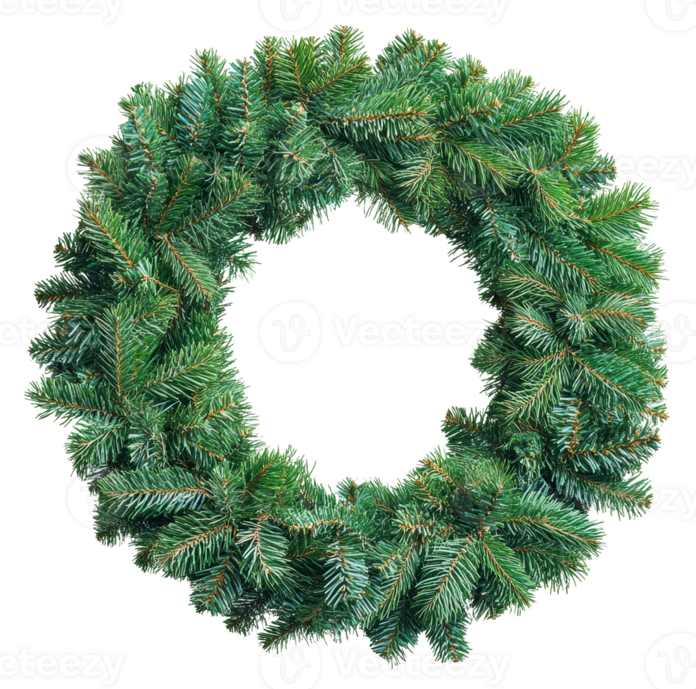Artificial evergreen wreath with lush green foliage for holiday decoration, cut out - stock . png