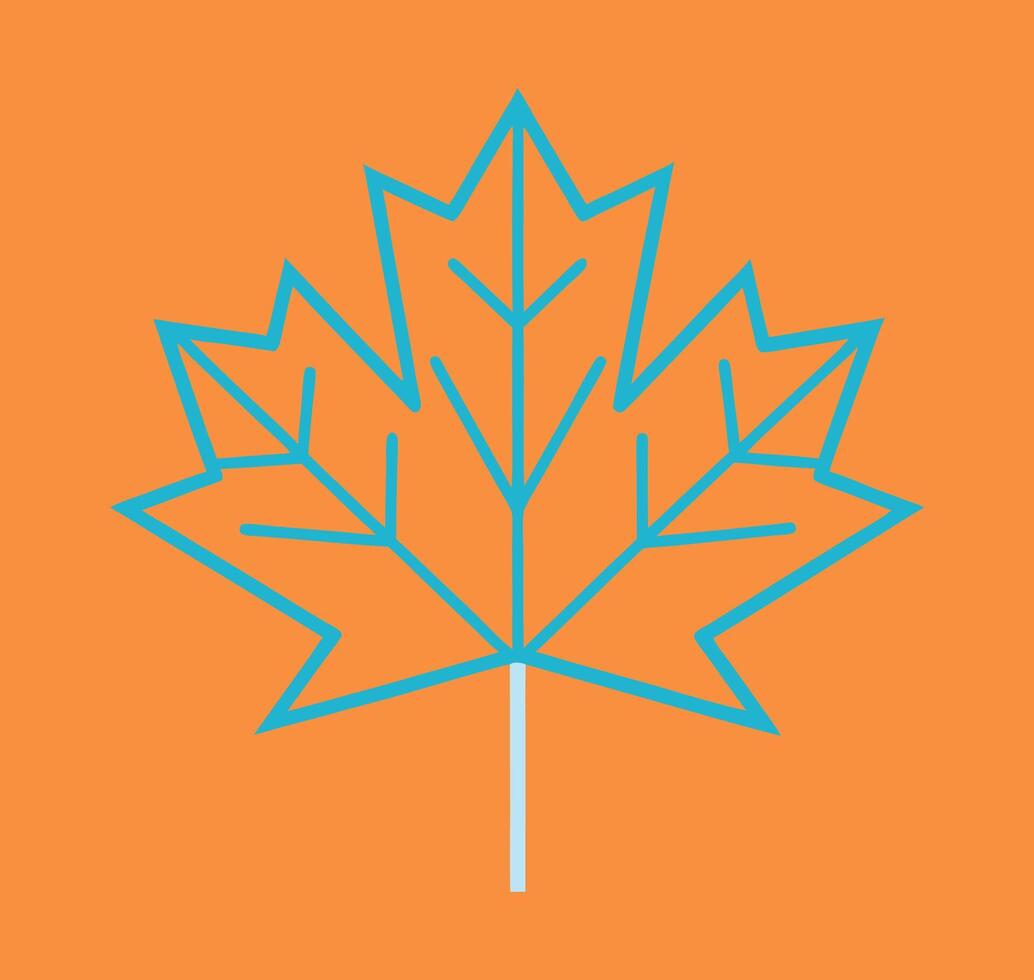 autumn maple leaf vector
