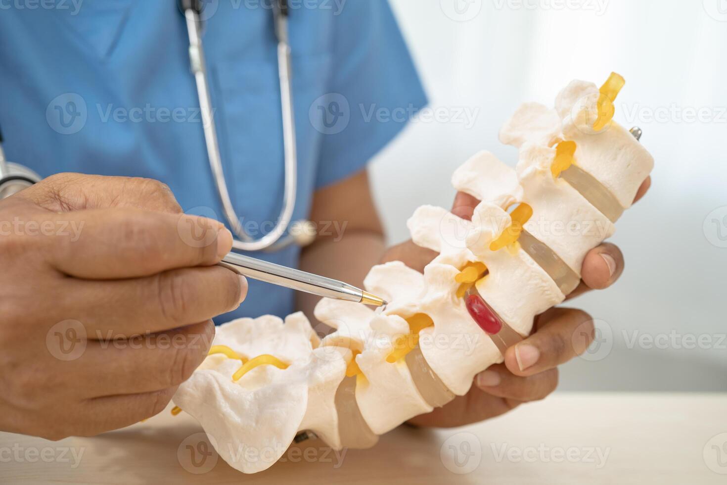 Doctor with lumbar vertebra bone skeleton and nerve model for treatment in the orthopedic department. photo