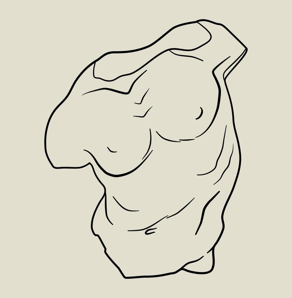 Classic antique statue in linear style. Male torso sketch. vector