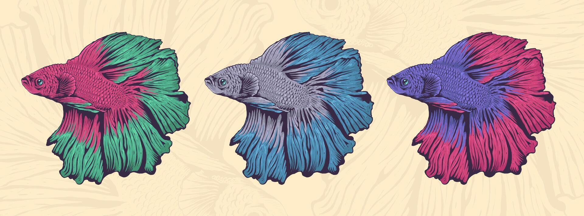 Set of Beautiful and Colorful Betta Fish Illustration vector