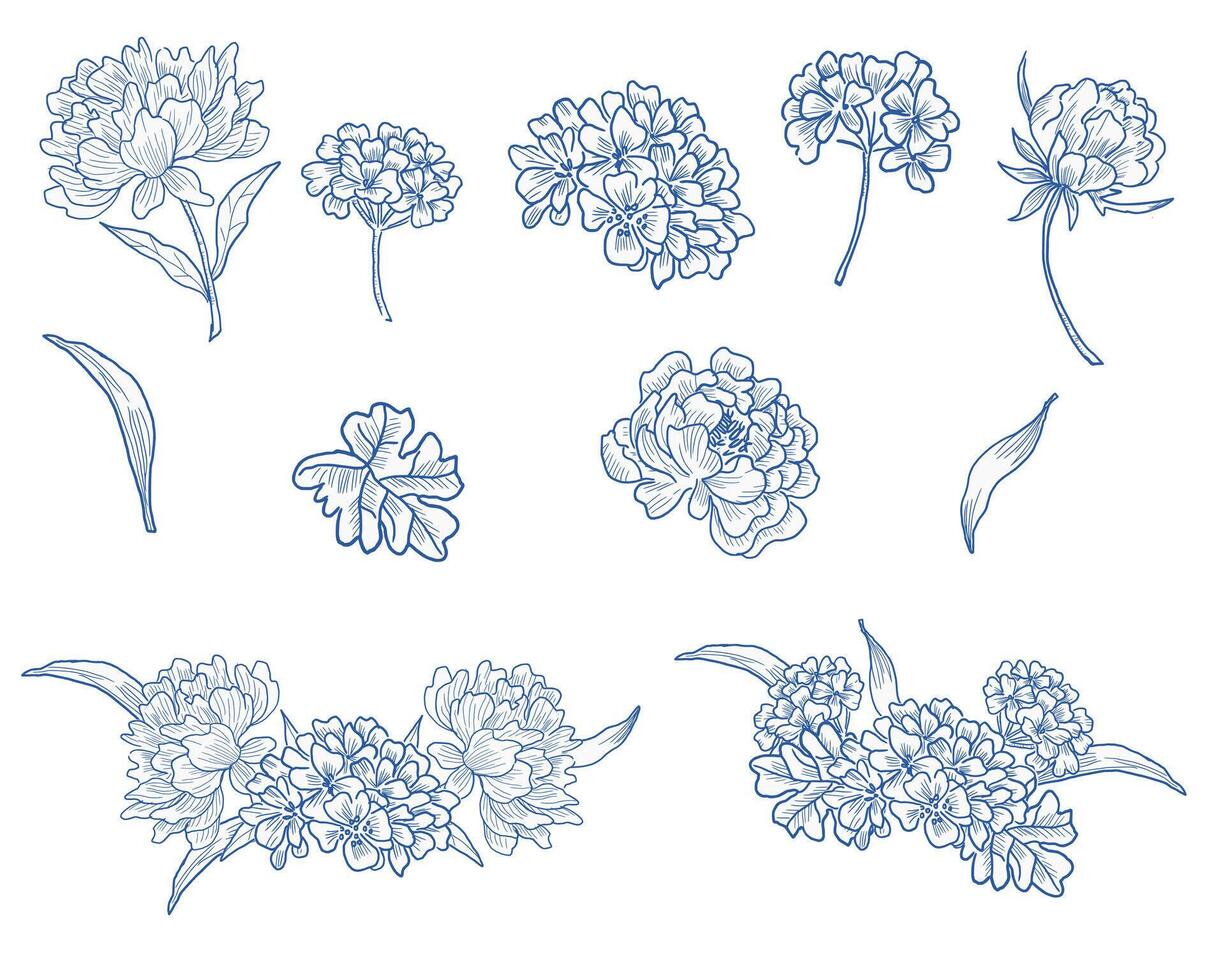 Peony and Hydrangea Hand Drawn Flower vector
