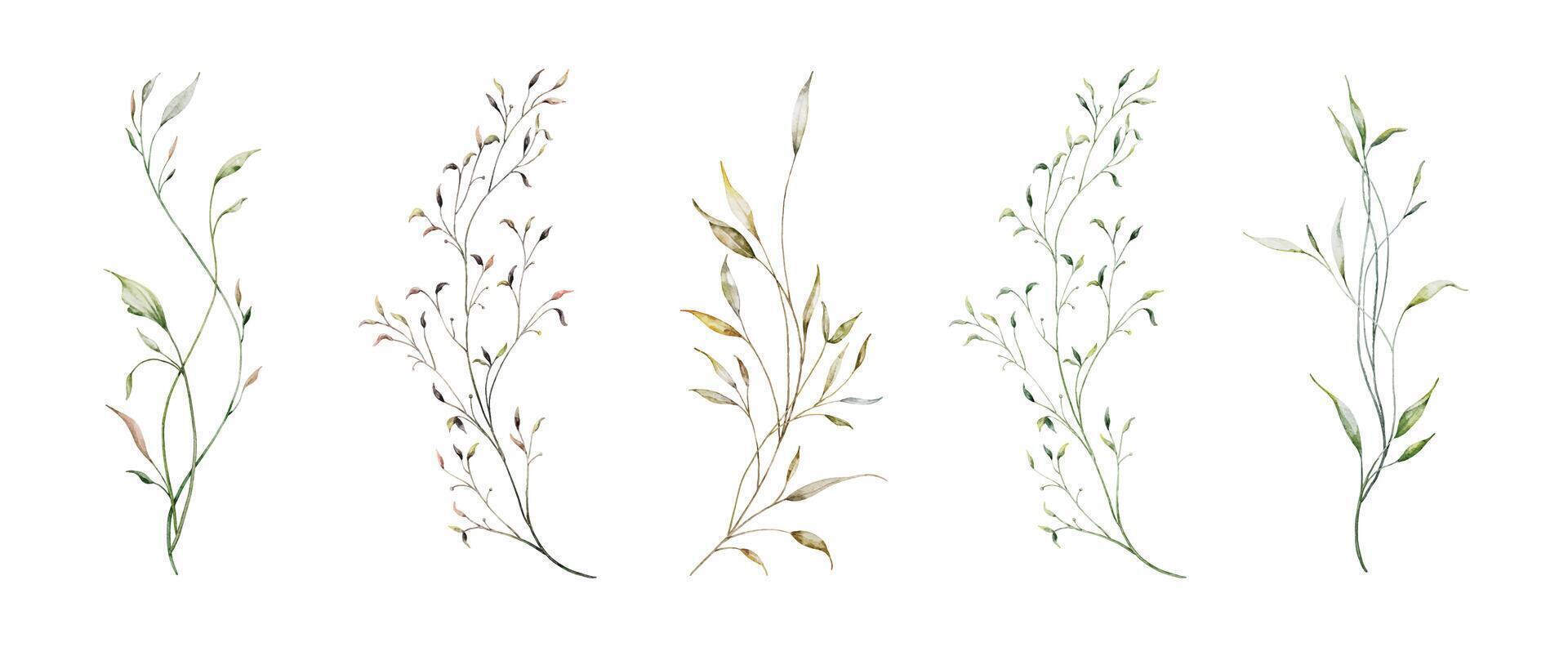 Set of watercolor green leaves elements vector
