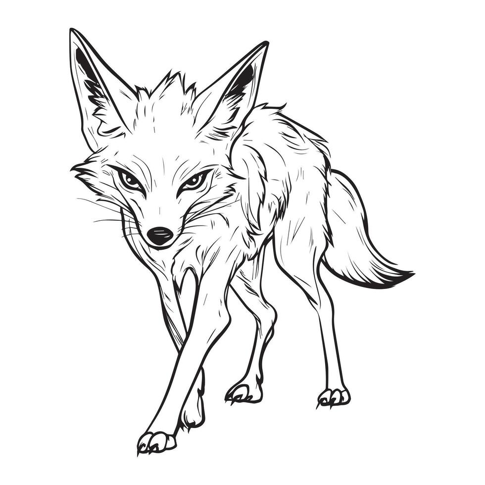 Jackal Outline Design, Jackal Clipart, A Prowling Stride Jackal illustration in black and white vector