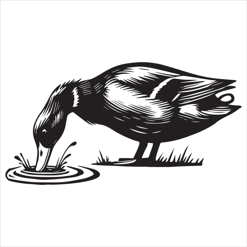 Mallard Silhouette, Wild Duck Clipart, Dabbling head down water illustration in black and white vector