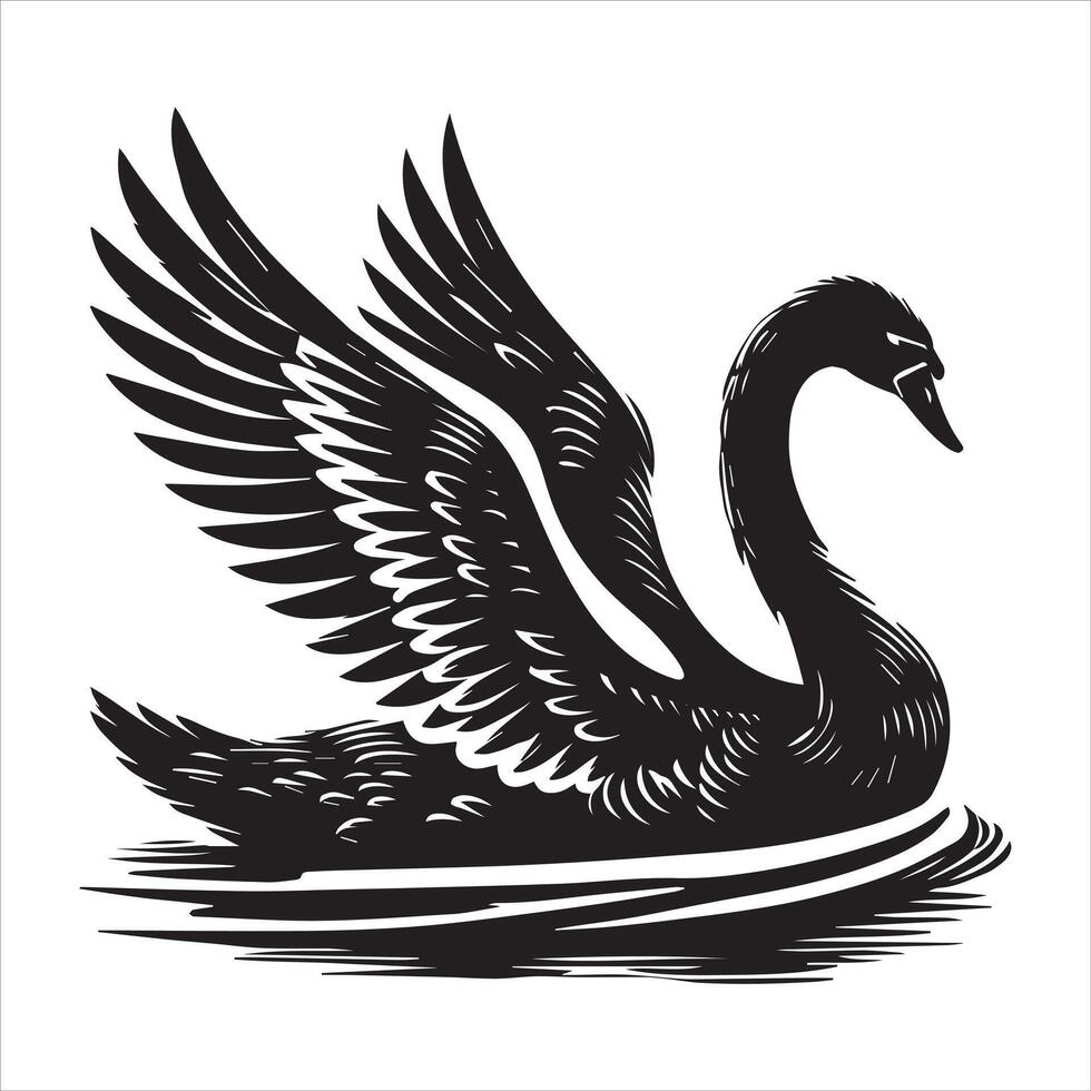 Mute Swan Silhouette, Cygnus olor Clipart, Mute swan On water slightly open wings illustration in black and white vector
