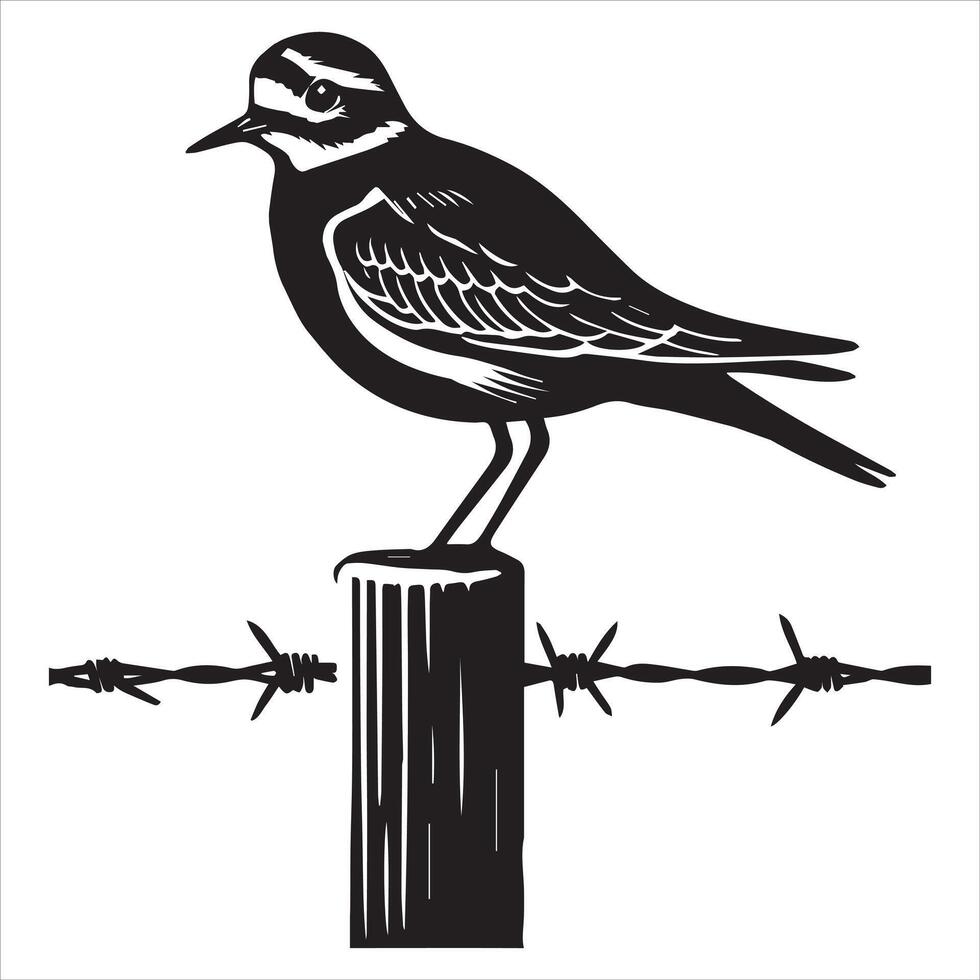 Killdeer Bird Silhouette, Charadrius Vociferus Clipart, Killdeer perched on a fence post illustration in black and white vector