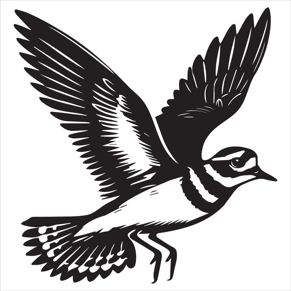 Killdeer Bird Silhouette, Charadrius Vociferus Clipart, Killdeer in flight wings down illustration in black and white vector