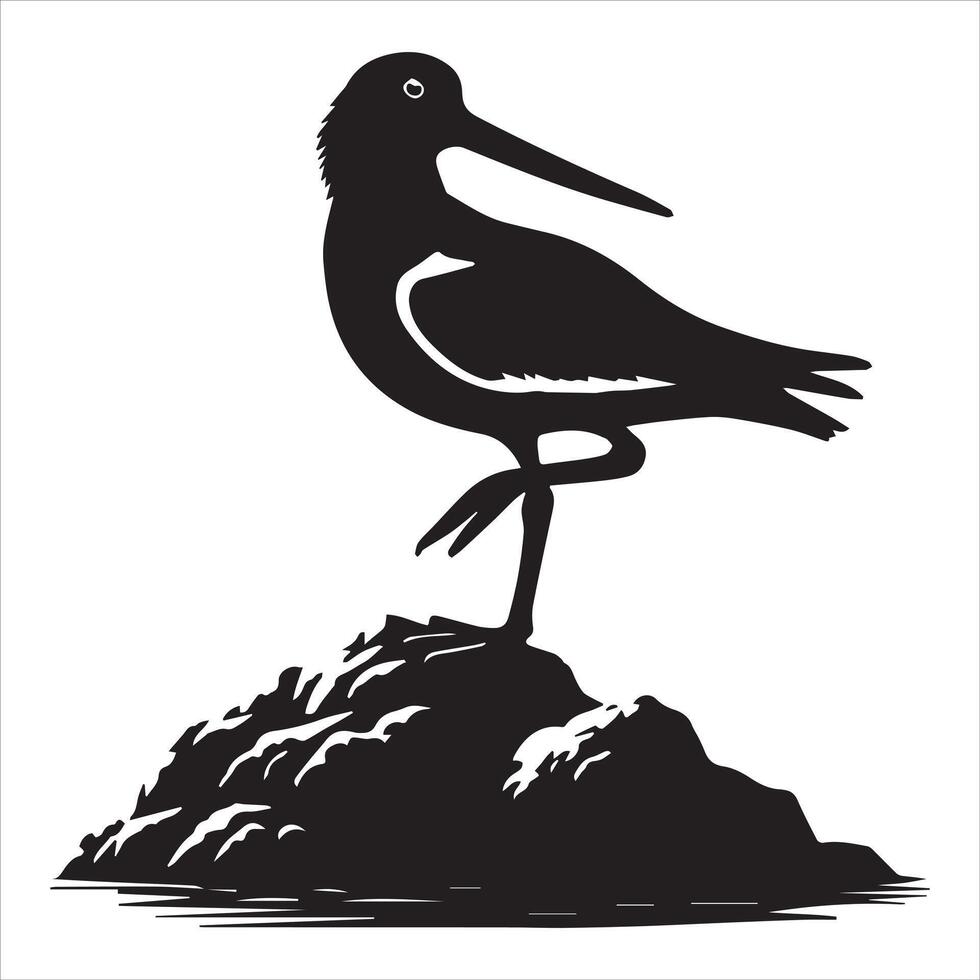American Oystercatcher Silhouette, Pied Oystercatcher Bird Clipart, American Oystercatcher one leg raised illustration in black and white vector