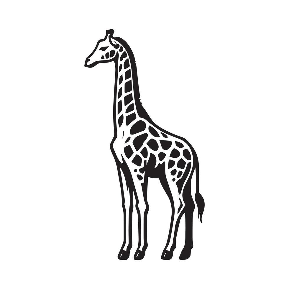 Giraffe Outline Design, Giraffa Clipart, A Quiet Observer Giraffe Illustration black and white vector