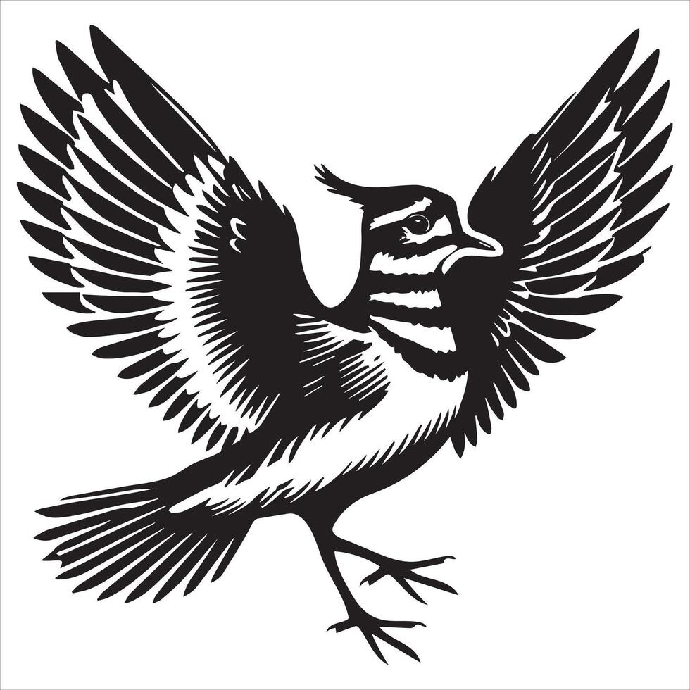 Killdeer Bird Silhouette, Charadrius Vociferus Clipart, Killdeer spreading illustration in black and white vector