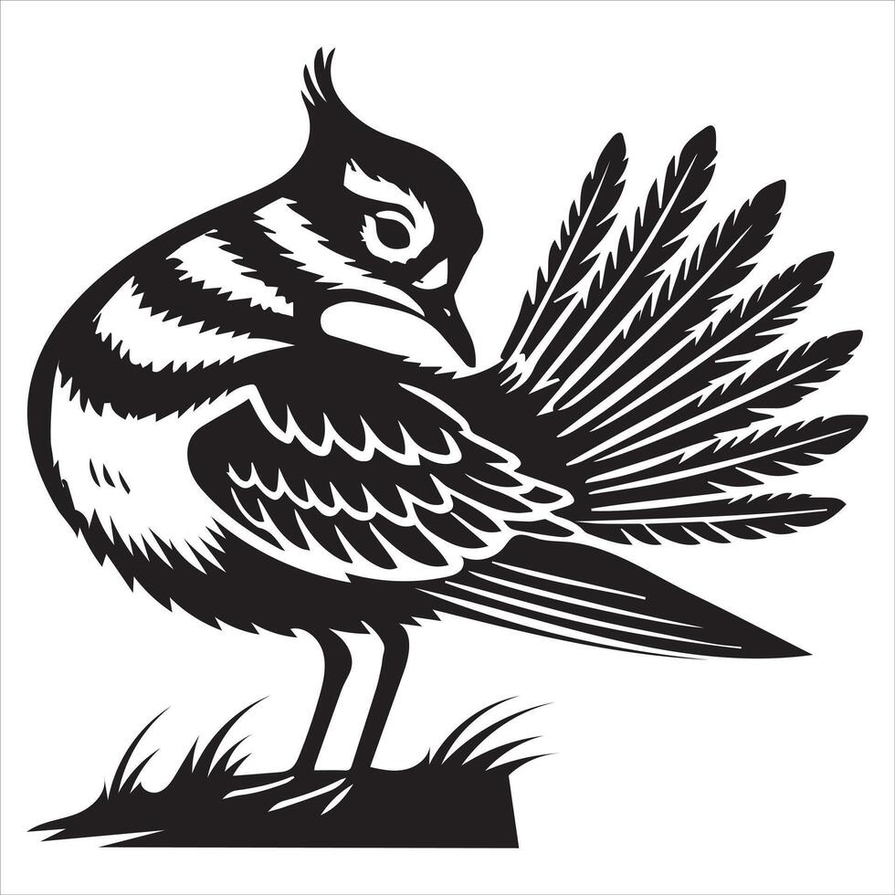 Killdeer Bird Silhouette, Charadrius Vociferus Clipart, Killdeer preening feathers illustration in black and white vector