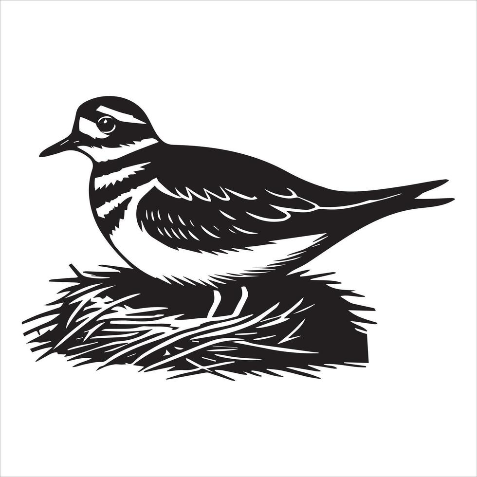 Killdeer Bird Silhouette, Charadrius Vociferus Clipart, Killdeer nesting illustration in black and white vector