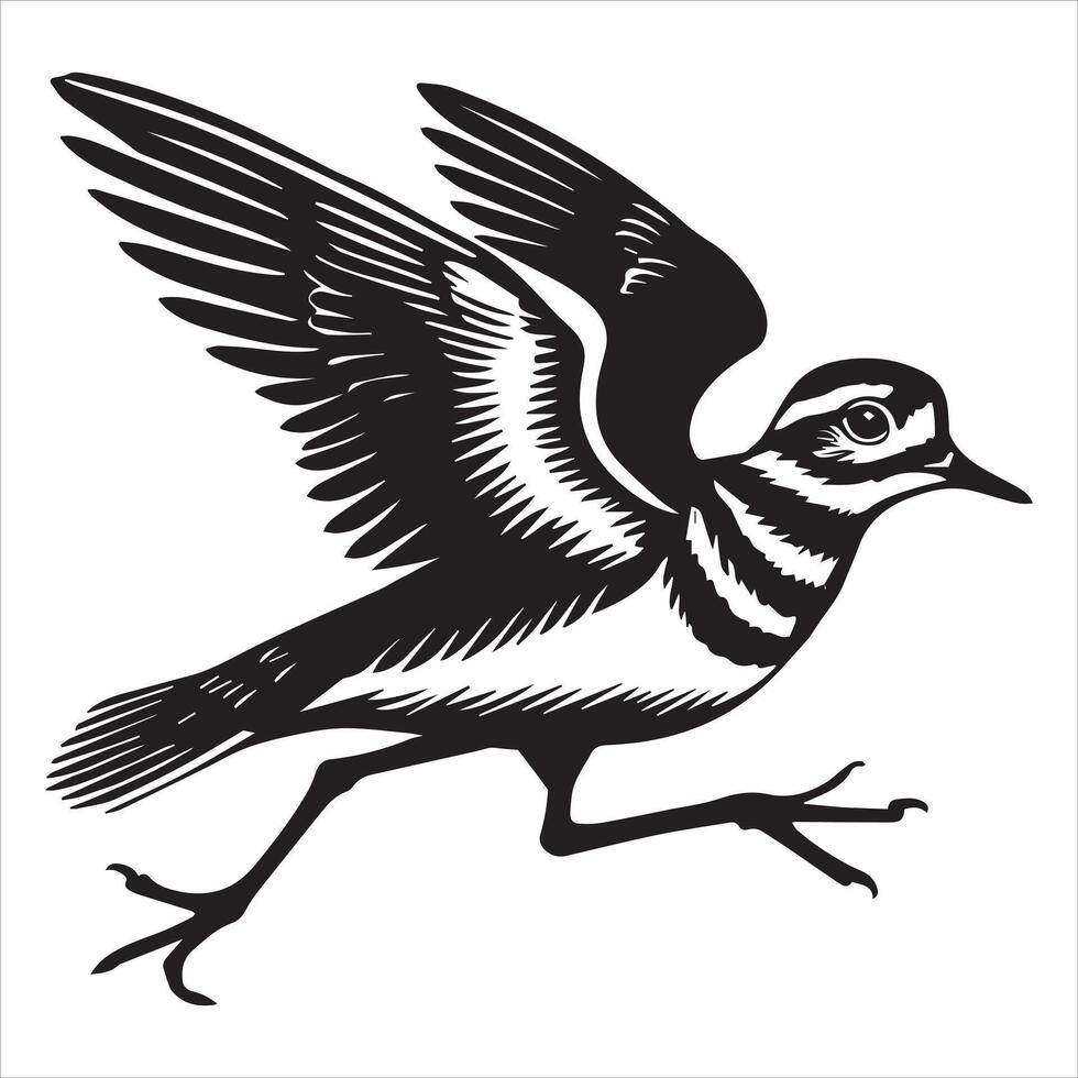 Killdeer Bird Silhouette, Charadrius Vociferus Clipart, Killdeer running illustration in black and white vector