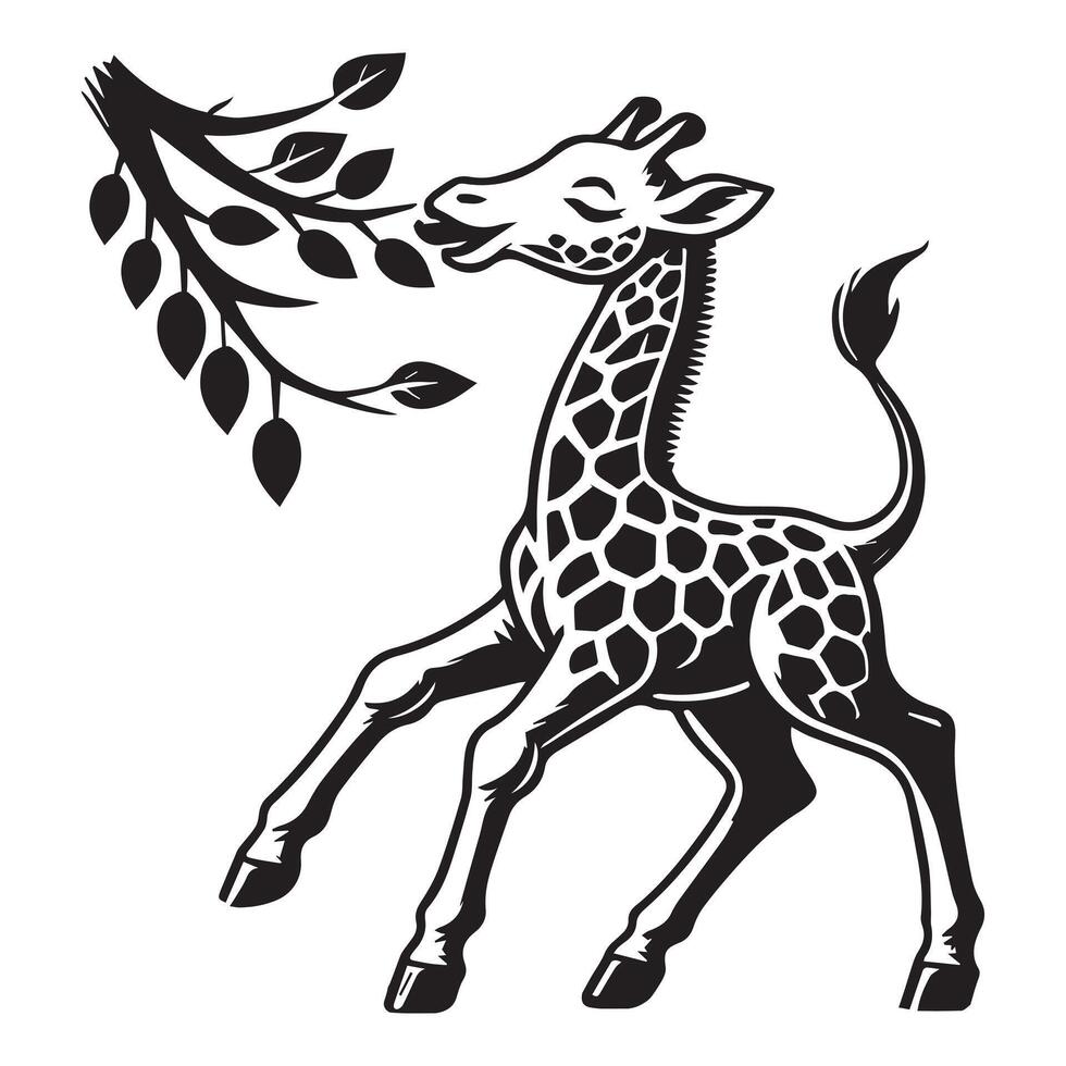 Giraffe Outline Design, Giraffa Clipart, Leaf Nibbler Giraffe Illustration black and white vector