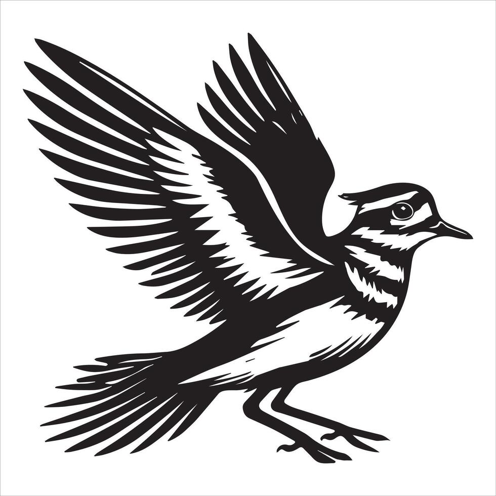 Killdeer Bird Silhouette, Charadrius Vociferus Clipart, Killdeer flapping illustration in black and white vector