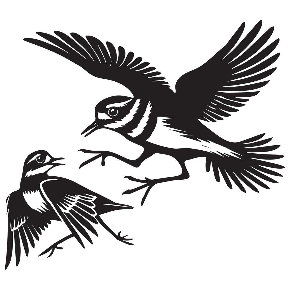 Killdeer Bird Silhouette, Charadrius Vociferus Clipart, Killdeer Chasing away an intruder illustration in black and white vector