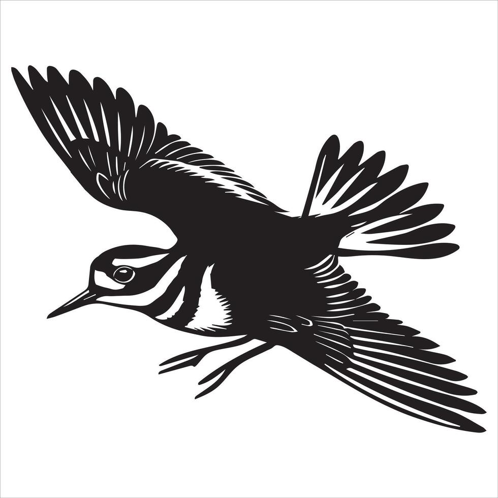 Killdeer Bird Silhouette, Charadrius Vociferus Clipart, Killdeer in flight illustration in black and white vector