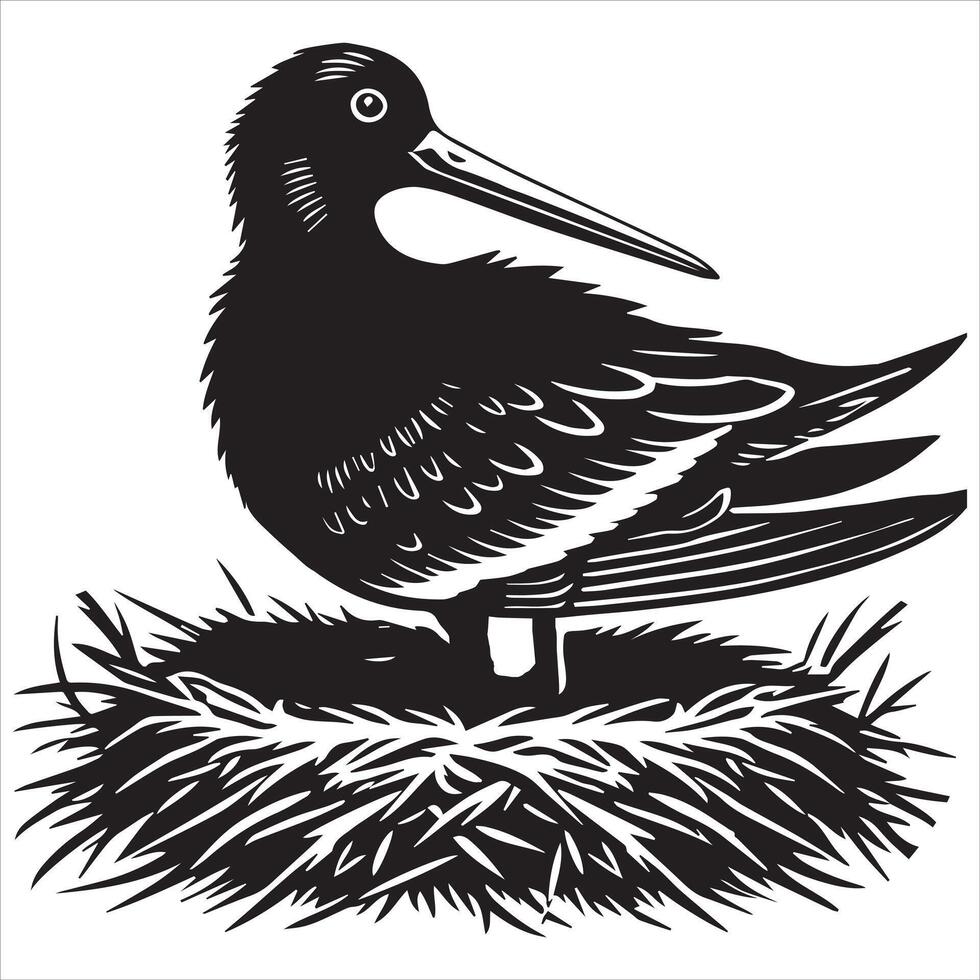 American Oystercatcher Silhouette, Pied Oystercatcher Bird Clipart, American oystercatcher sitting on nest illustration in black and white vector