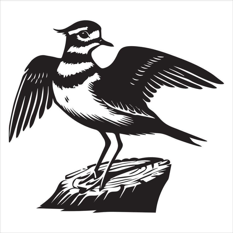 Killdeer Bird Silhouette, Charadrius Vociferus Clipart, Killdeer sitting wings tucked illustration in black and white vector