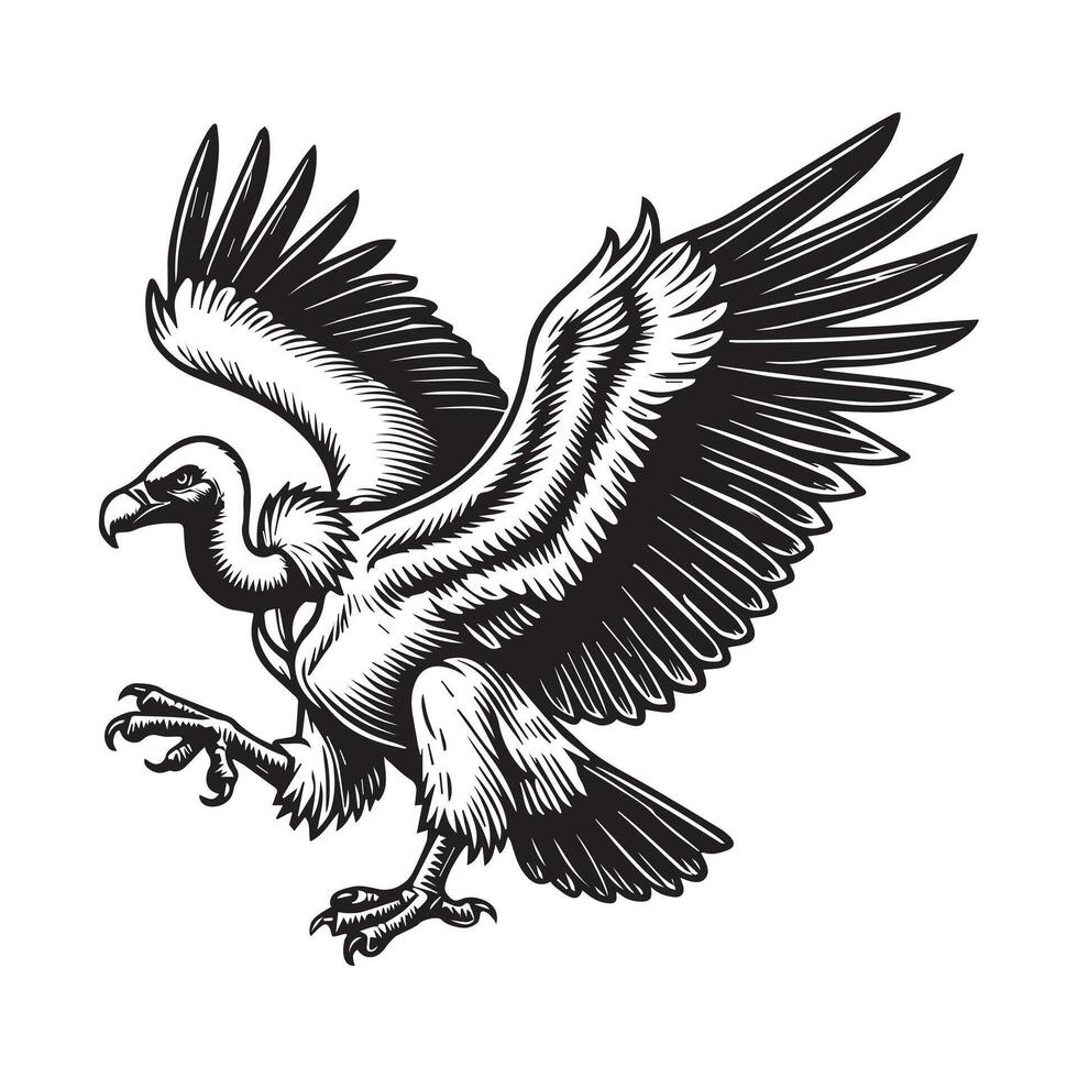 Vulture silhouette, Vulture Bird clipart, A vulture with wings partially spread illustration vector