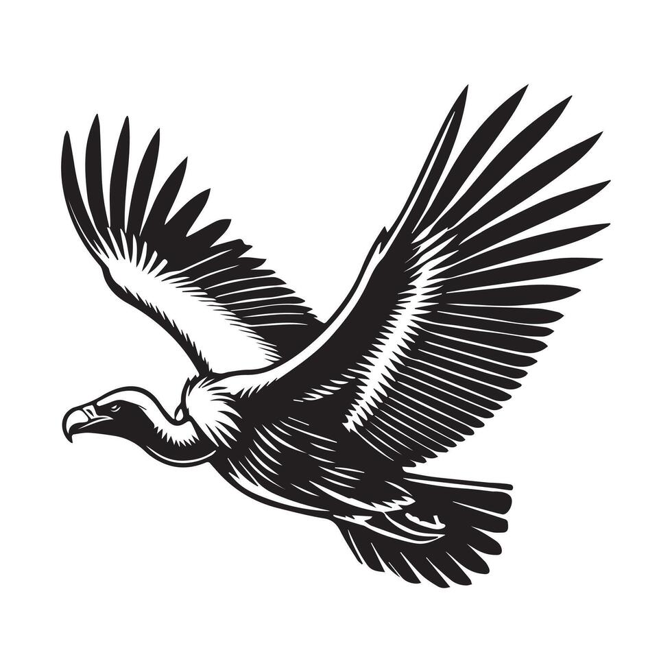 Vulture silhouette, Vulture Bird clipart, Vulture in Flight illustration vector