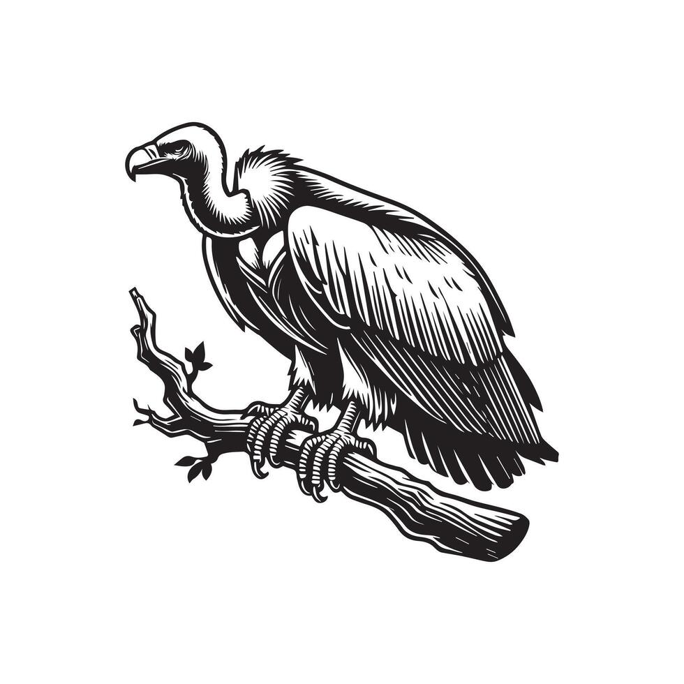 Vulture silhouette, Vulture Bird clipart, A vulture perched on a tree branch illustration vector