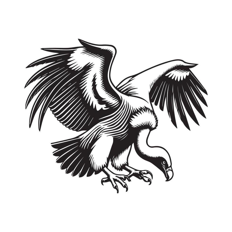 Vulture silhouette, Vulture Bird clipart, A vulture birds Hovering Inspection illustration vector