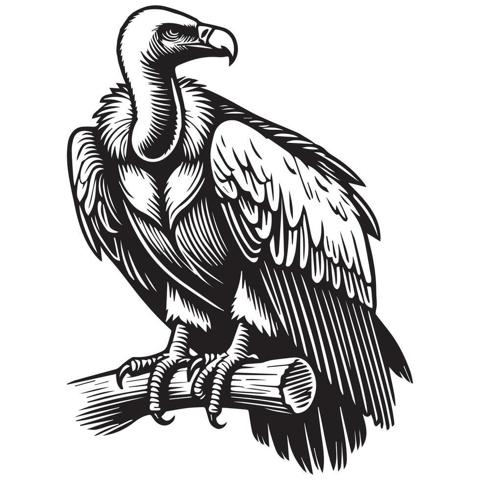Vulture silhouette, Vulture Bird clipart, A vulture birds Perched Alert illustration vector