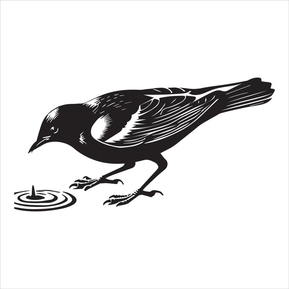 Red-winged blackbird silhouette, Red-winged Blackbird drinking Illustration vector