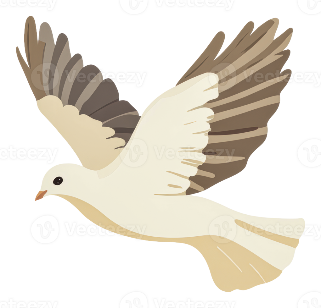 White dove flying gracefully in the sky, cut out - stock . png